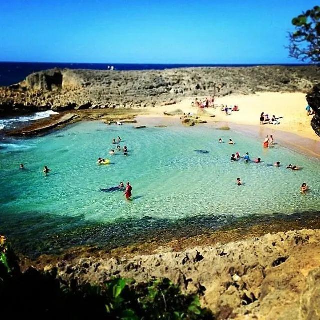 Apartament Cozy Studio In Amazing Manati With Ac, Wifi, Pool